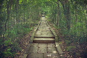 Explore the Ritigala Forest Monastery